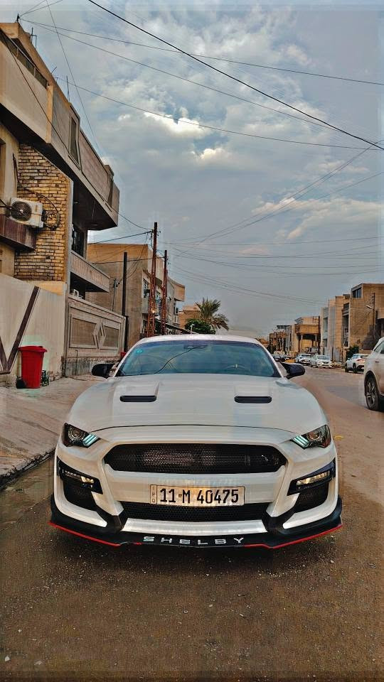 موستنك GT • ٥.٠ V8 • ١٥ ألف كم