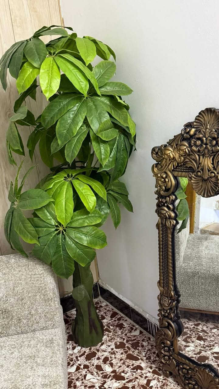 للبيع وات ساب ***********
