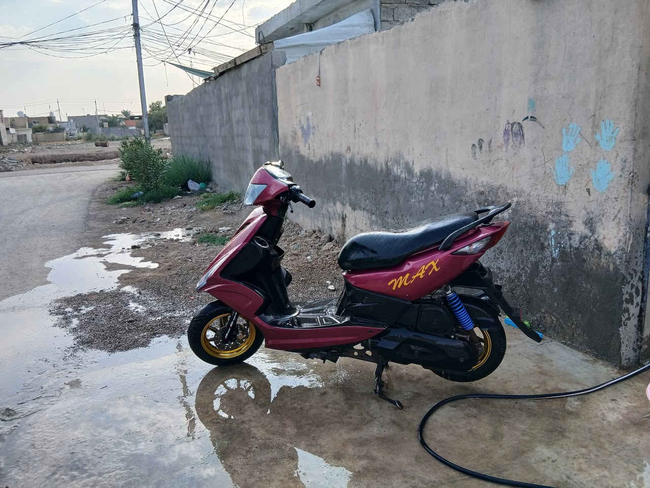 ماكس • ٤٩ • كفاله
