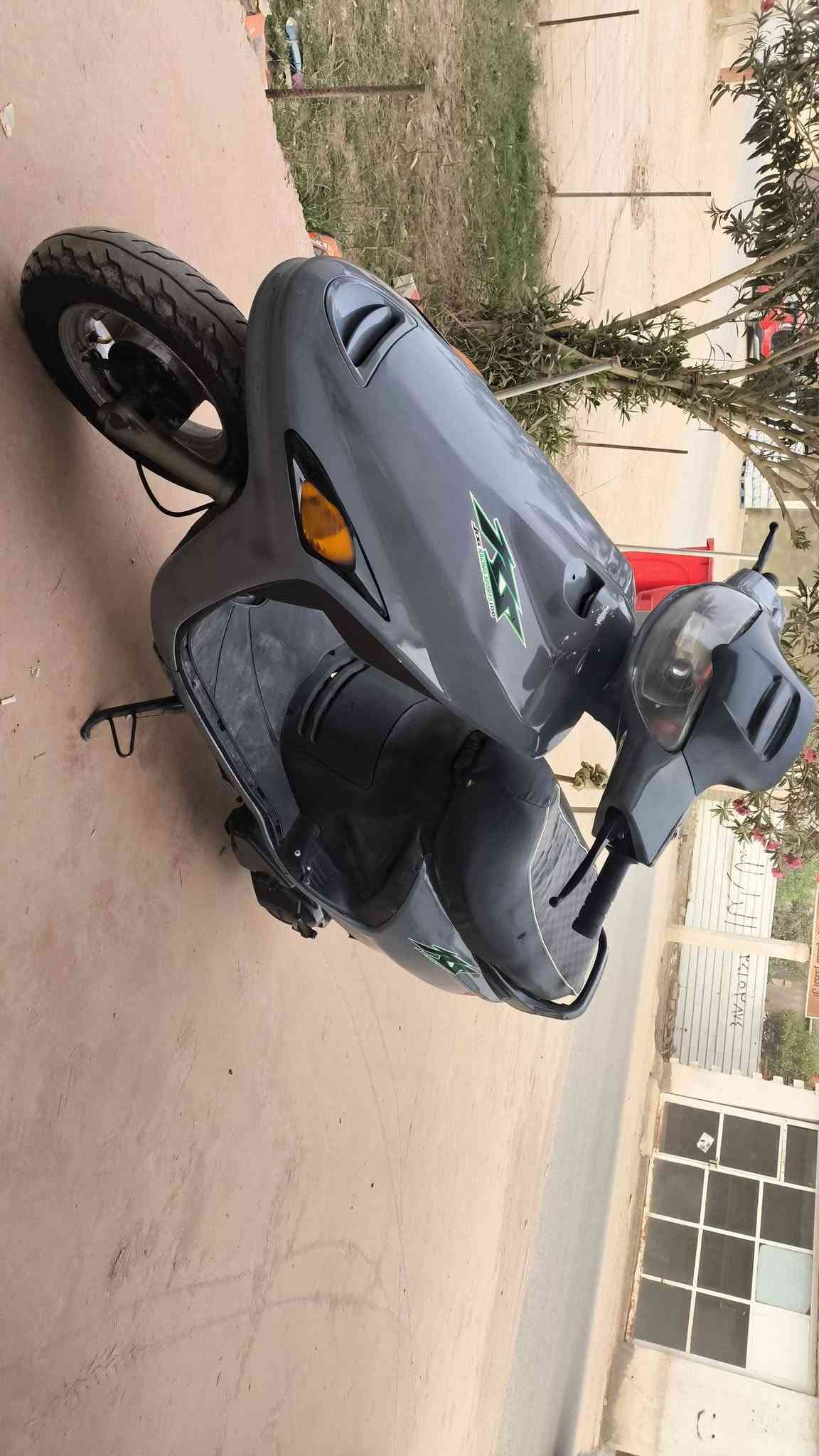 فراشه فحل • مامفتوح • ستندا ثنائي ناقص