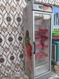 براد • شغال • نظيف