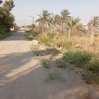 اليوسفية بئر الحمام • طابو زراعي • دونم