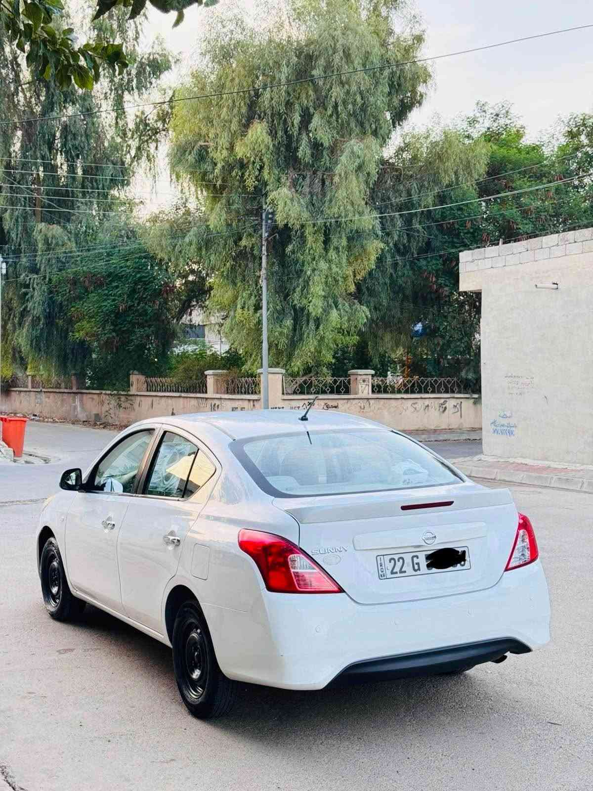 ٢٠١٩ • بدون صبغ • رقم اربيل