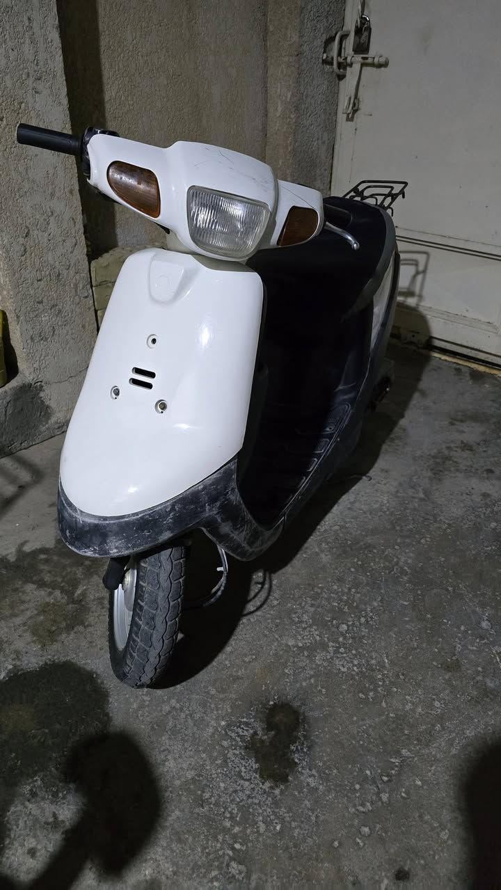 بطة • سلف • معدل