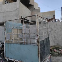 محجل ستوته