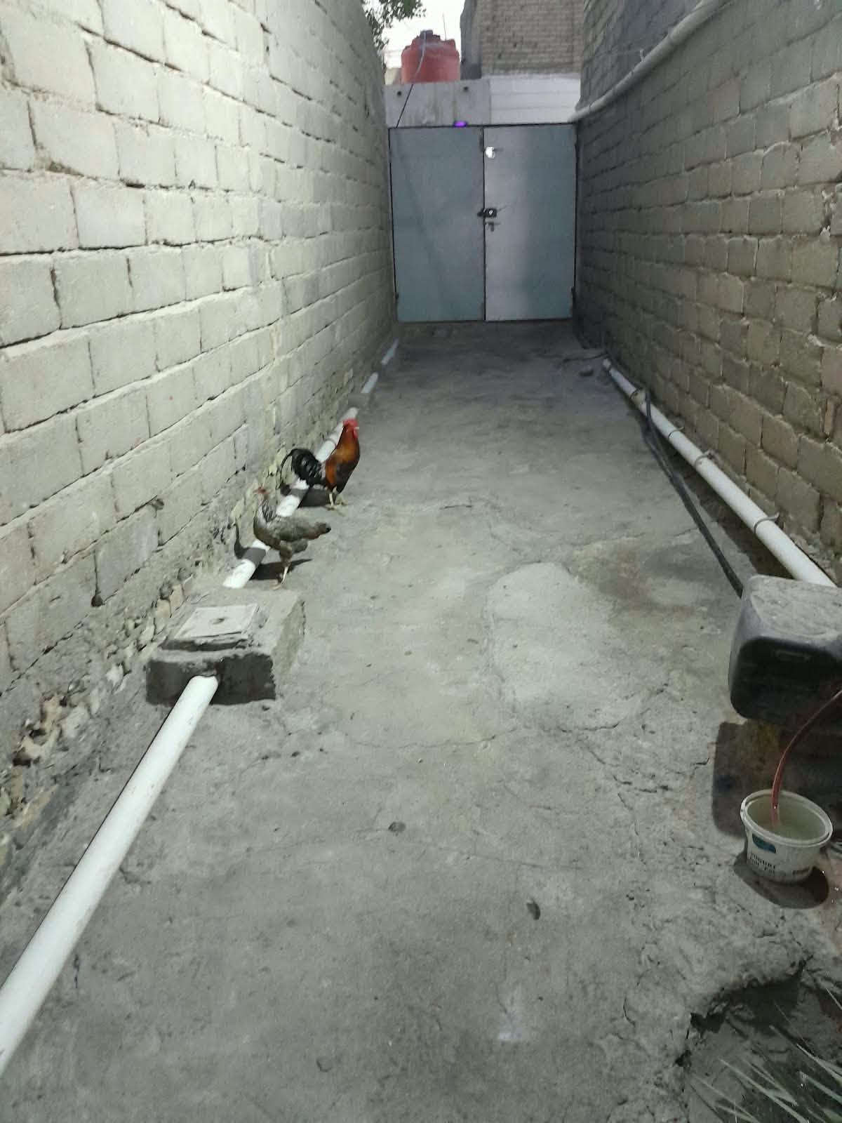 بيت زراعي • ١٠٠م • حي العسكري