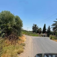 ٥ دونم • قضاء العلم • طابو زراعي