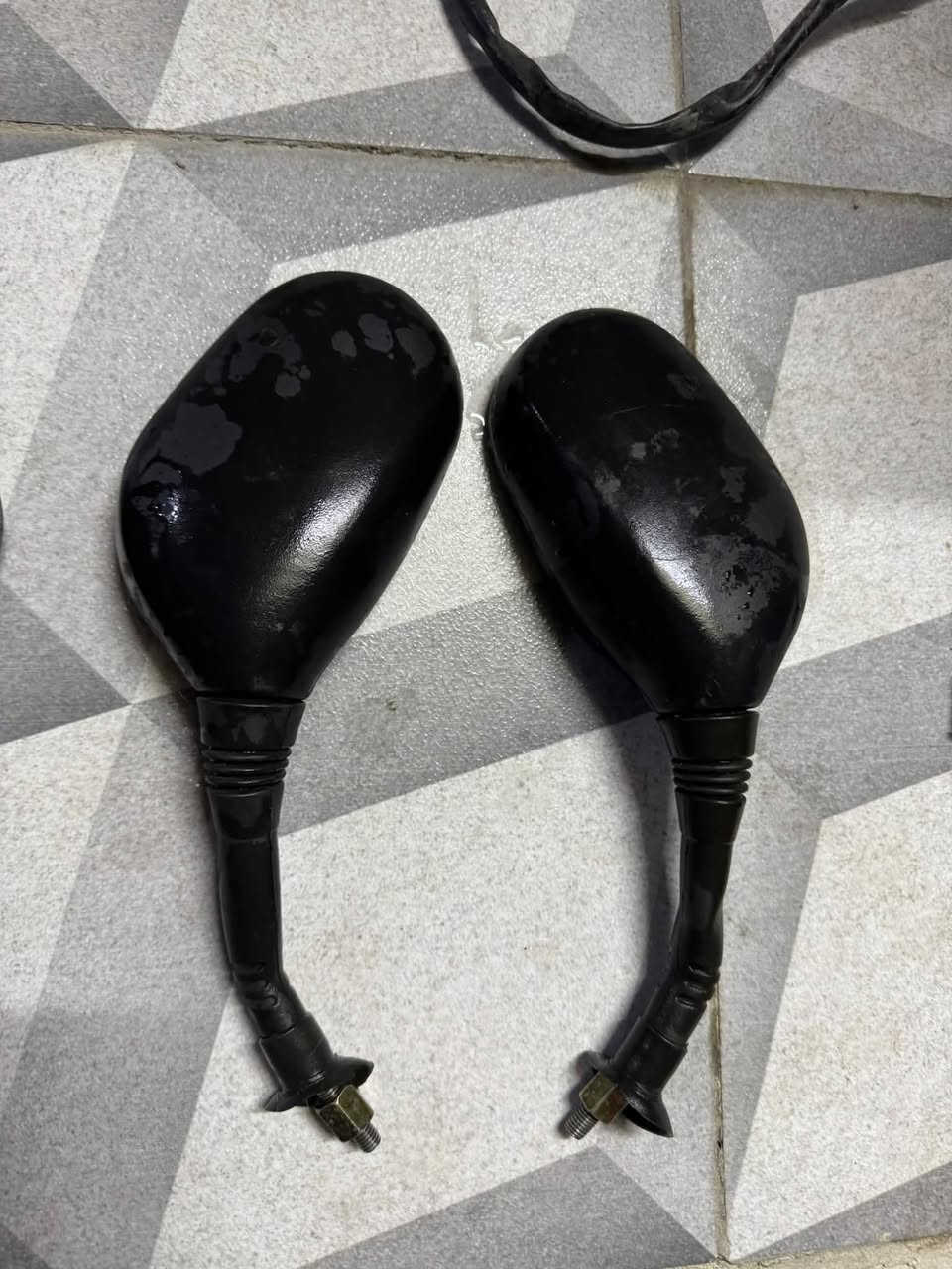 سكنس فحل • اصليات • تفصيخ
