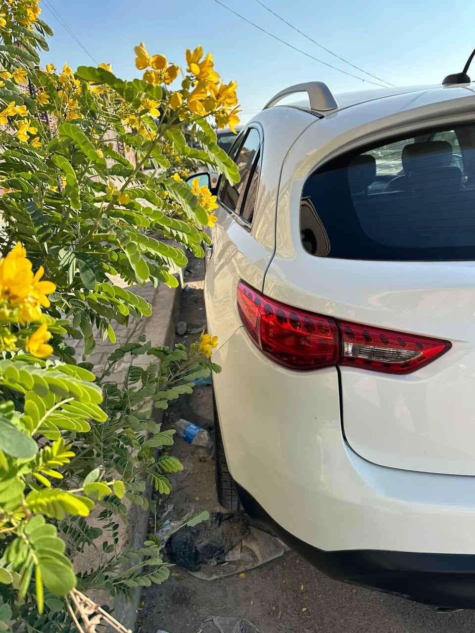 انفنتي fx35 2009 وارد امريكي حادثهه فقط دعامية امامية والبدنية مال بنيد يعني السيارة مكفولة ماعدا دعامية امامية 
مواصفاتهه معروفة كشر نظيف داخل نص نظافة بيهه نقص حدادية صدر ونواعم بسيطة رقم بغداد بأسمي تاخذ تحويل مني سنوية لل٢٧ 
موقع السيارة بغداد السيدية 
السعر المطلوب ٩٠ وبيهه مجال تنزل النواقص من سعرهه 
مستعجل عالبيع 

***********
