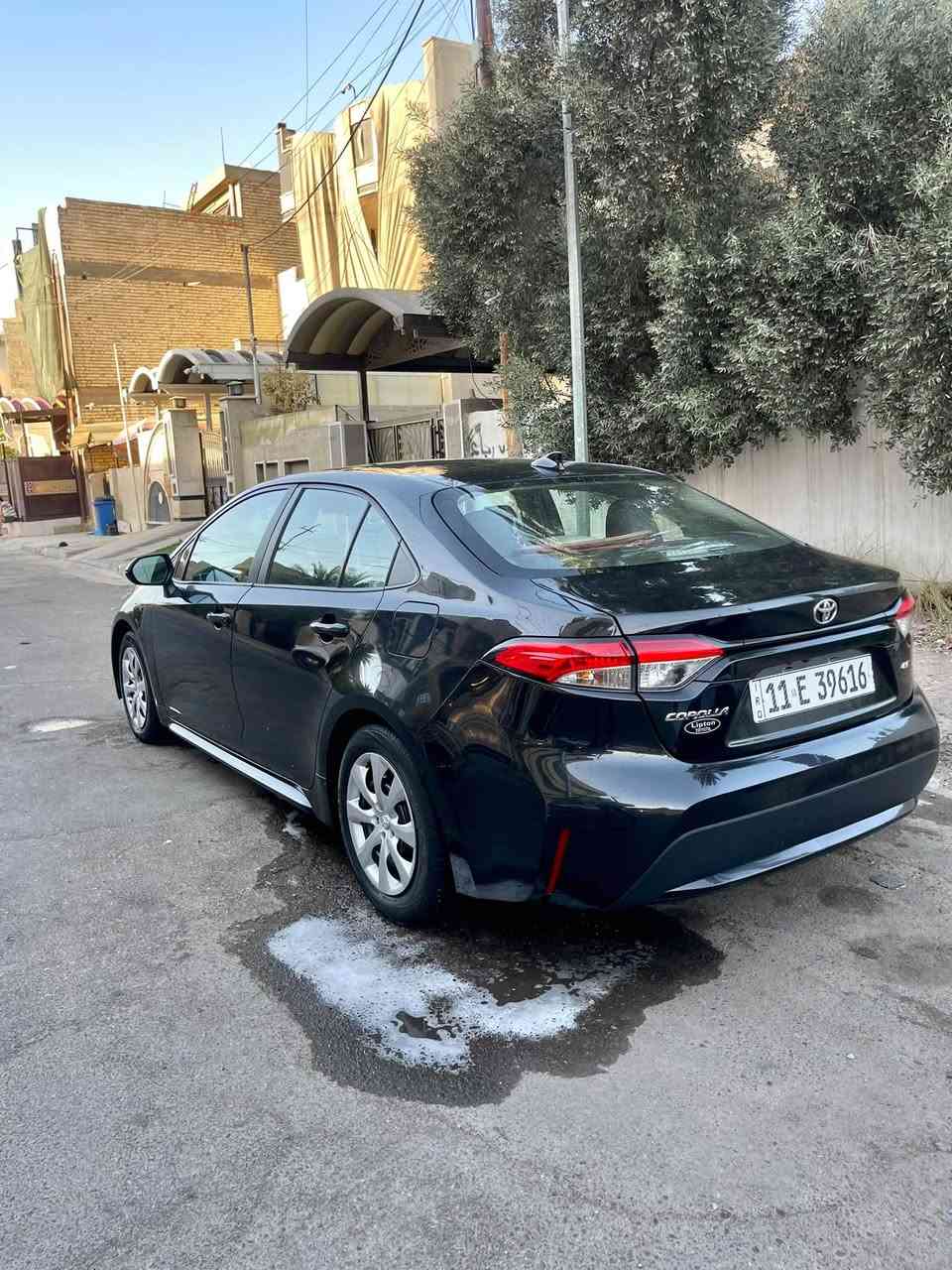 كورلا ٢٠٢٢ • كفاله عام • صبغ بارد