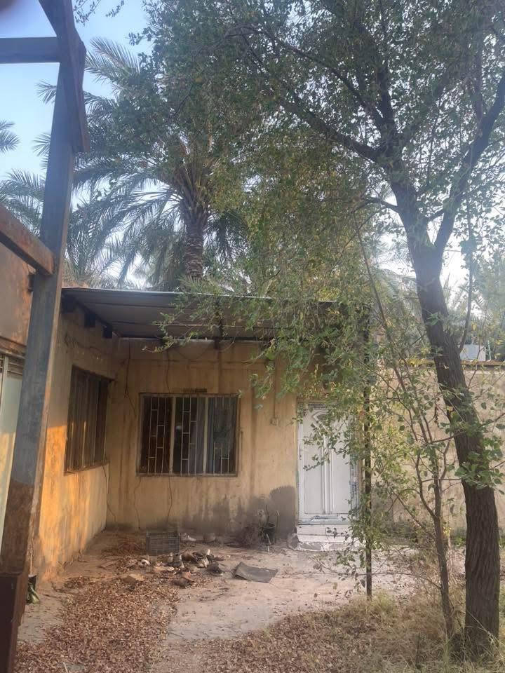 للبيع سقيفه جينكو بحاله ممتازه طول 6متر وعرض 3ونص متر وارتفاع 3متر  وسقيفه ثانيه ايضا بشكل ممتار طول 3عرض 2
مع تانكيات ماء عدد 3ابو ا2000دجه اولى 
للاستفسار اتصال على الرقم ***********مكان بابل محاويل ناحية الامام
