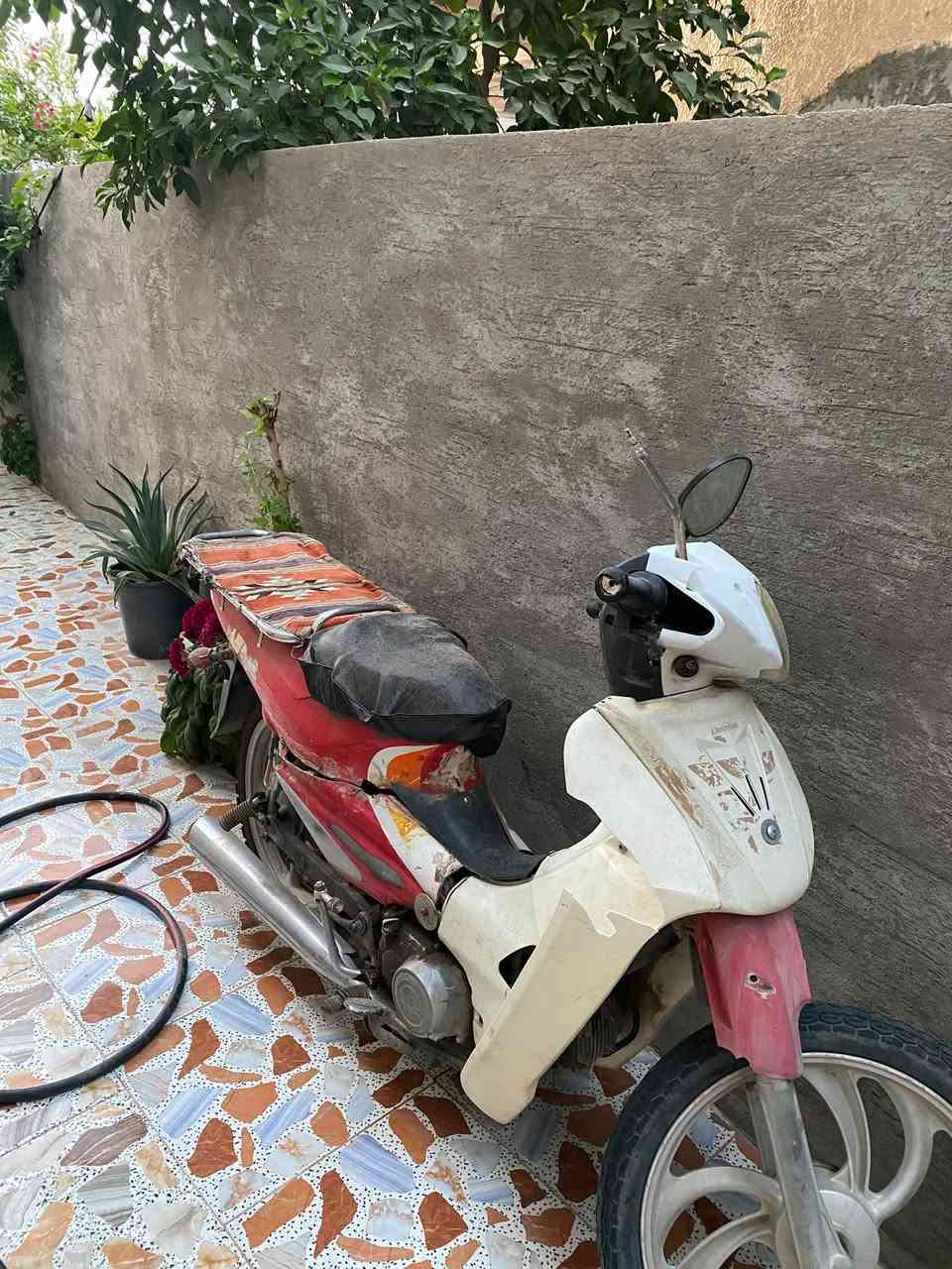 سرفيز • ٢٠١٤ • زرف خلفي