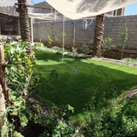 كربلاء طريق بغداد • ٥٠٠م² • طابو زراعي