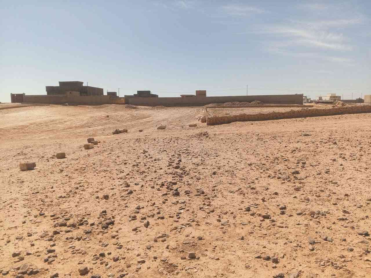 #هام_للبيع
السلام عليكم قطعة ارض للبيع 1000متر مجاوره شقق البحي الأمين مكفوله عشائر ومكفوله من المسح مو يمها  قطعه حلوه وعاليه علئ شارع 10متر والسعر بعد ماوصلت شي للأستفسار اكثر الاتصال ***********
