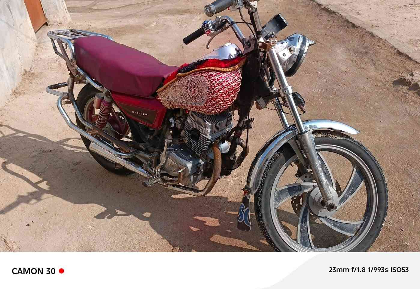جونده • ٢٠١٥ • اوراق اصولي