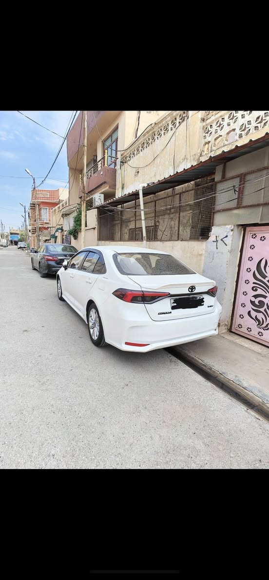 كورلا • ٢٠٢٥ • رقم بغداد