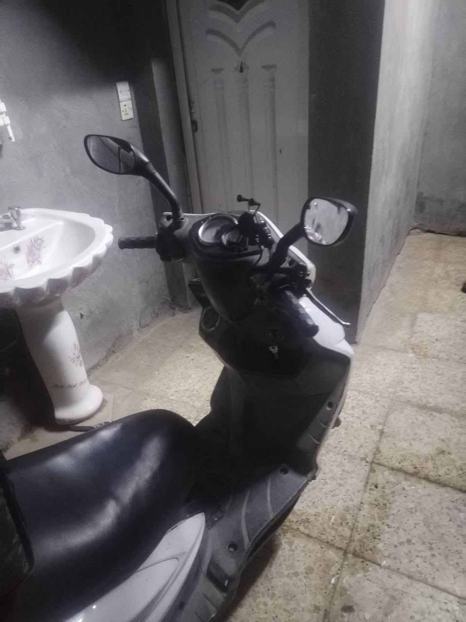 سكنس فحل • نوزل • اوراق ضايعة