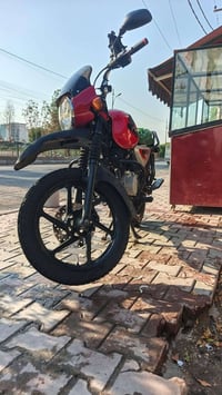 بوكسر جبلي • ٢٠٢٣ • كفاله