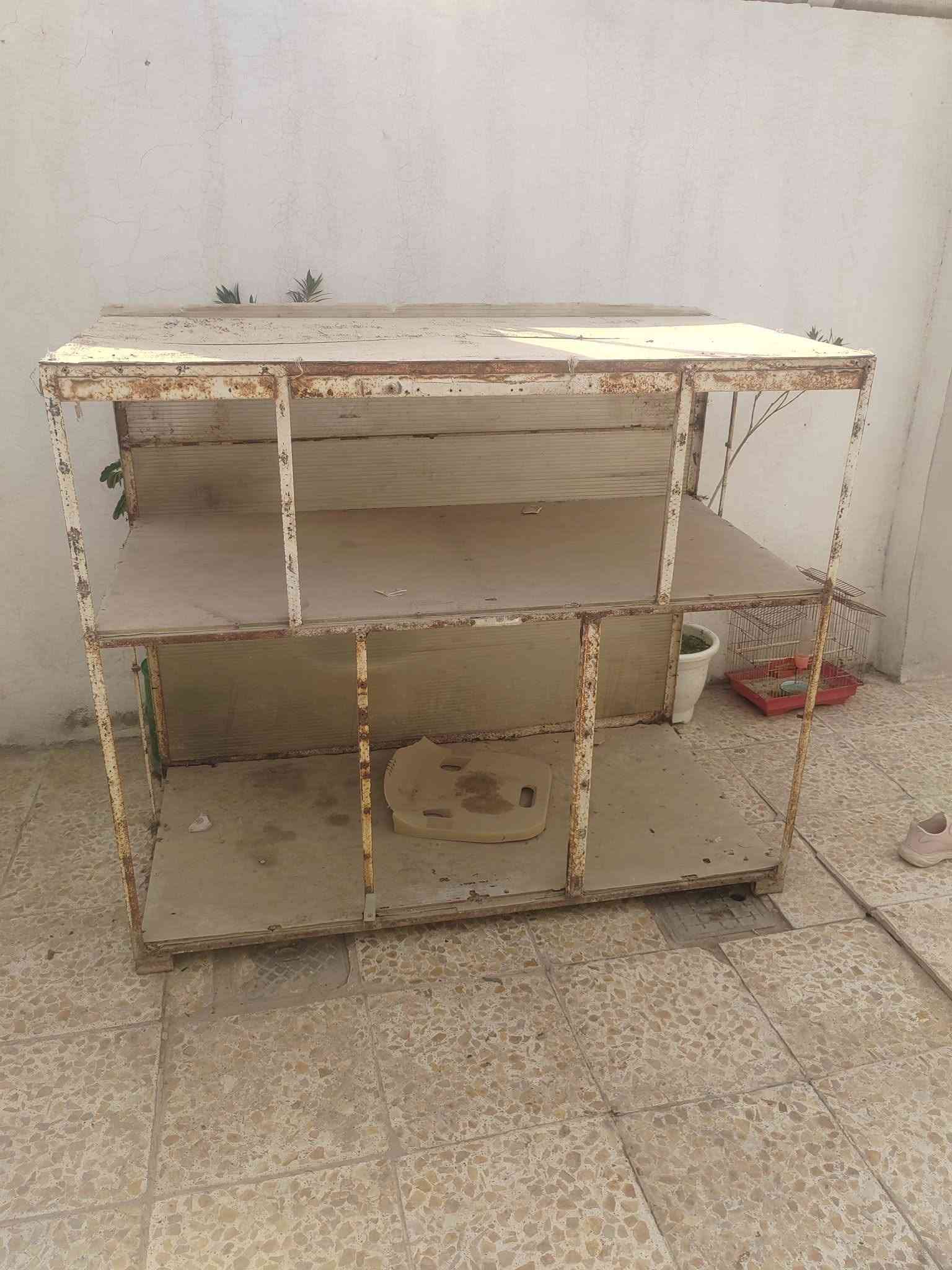 شواية • مع جامات