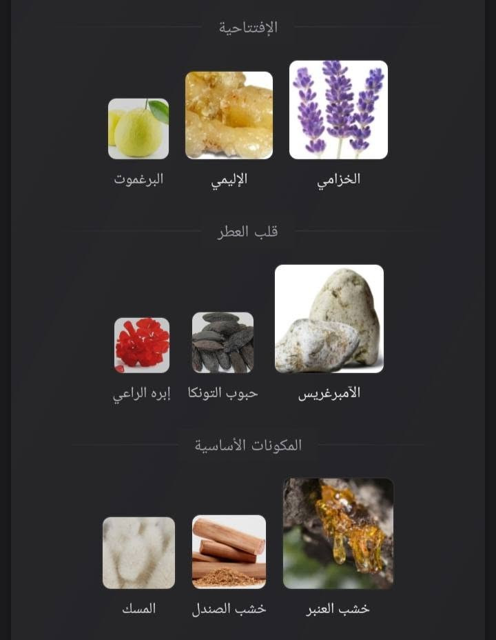 بنتلي ٧٠مل • جيس سيديوكتيف ٩٠مل • مستعمل