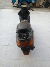 سبيسي • ماليزي • مكفولة