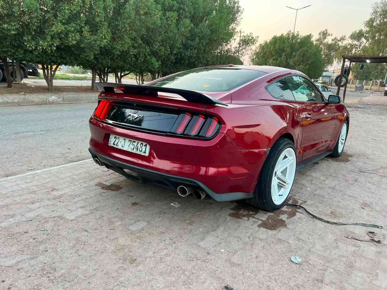 سلام عليكم موستنگ ايكو بوست موديل 16 ماشيه ٩٥ رقم اربيل سنويه ل ٢٨ جاهزه بس نقصهه تيربو گايم سعرهه ٩٥ قفل من الأخير مكاني سماوه ***********

