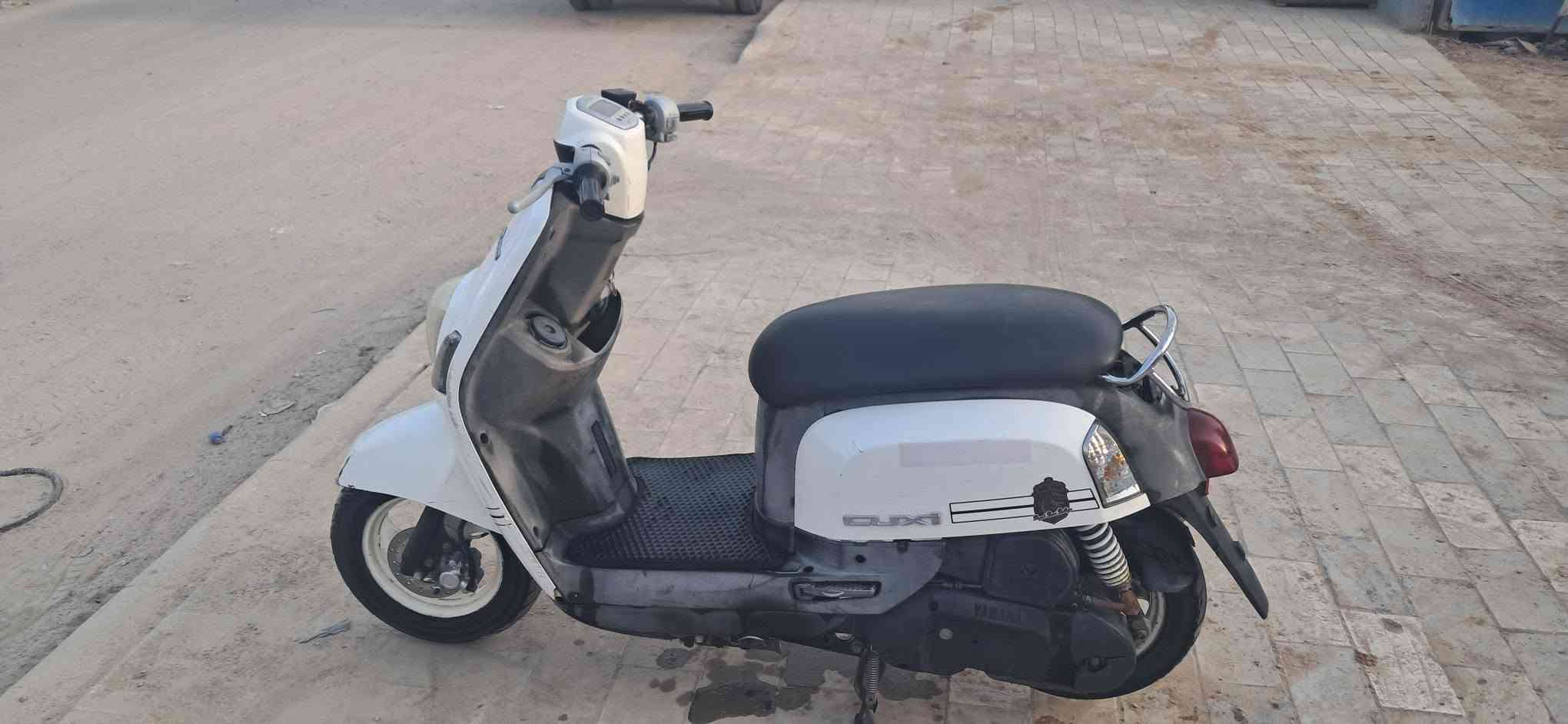 ماكس بولسي • نوزل • حله