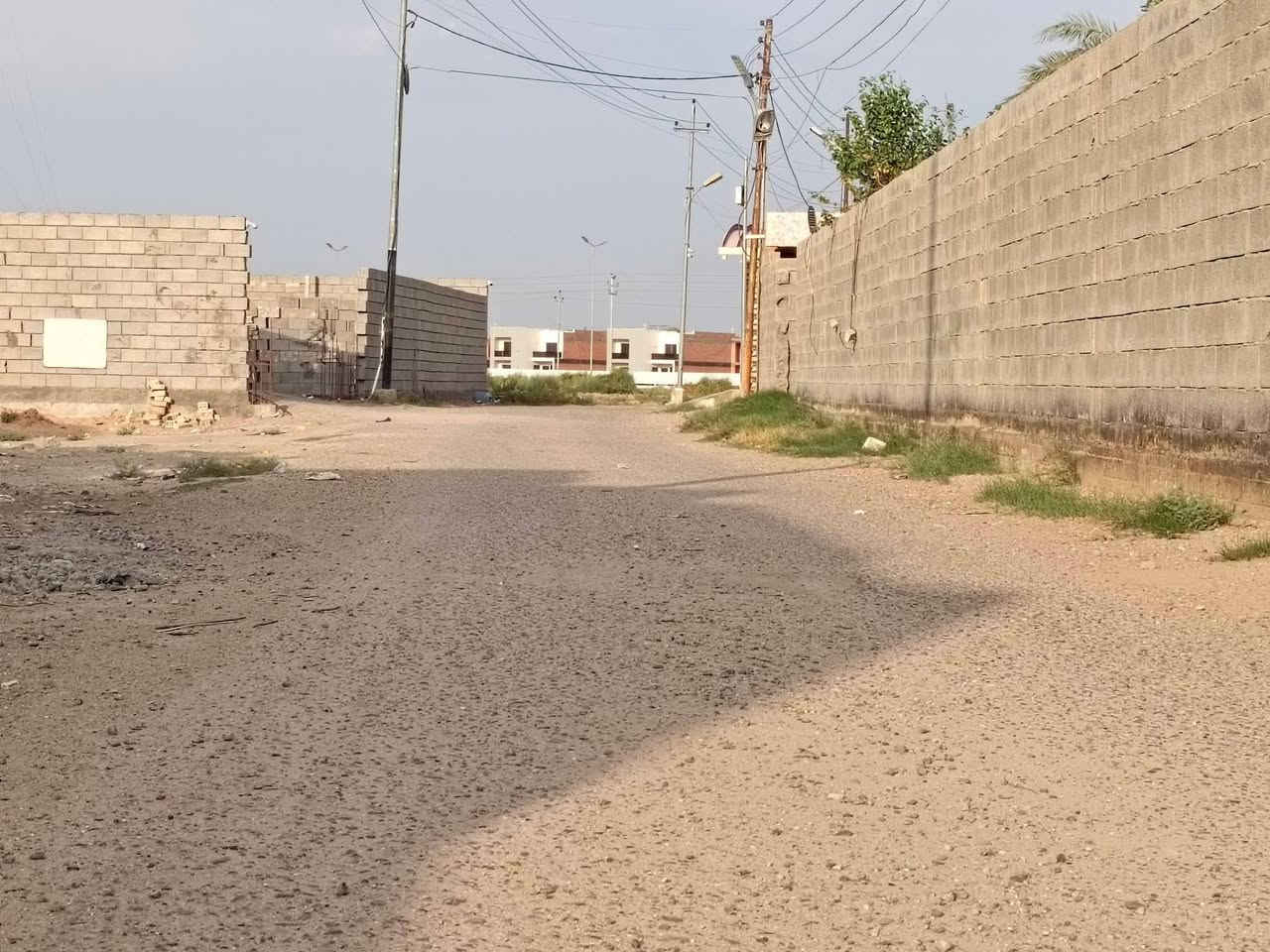 الرمادي الصوفية • ٢٣٣م • سند ٢٥ فسفوري