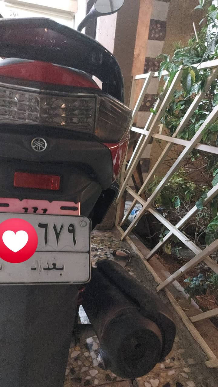 سكنس • لد • الدولعي