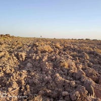 أرض زراعيه • ٢٠ دونم • ماء وكهرباء