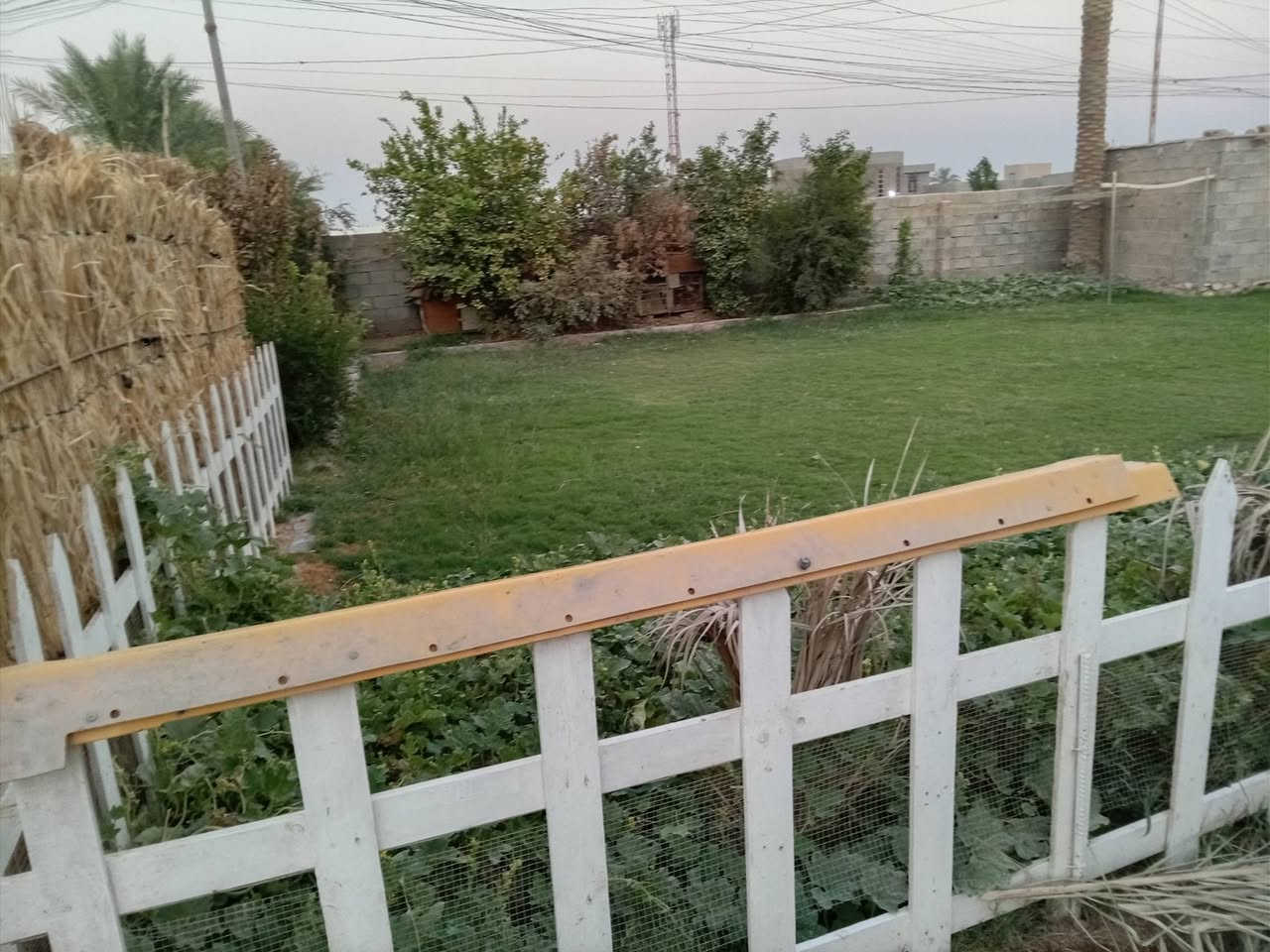 هذني مال شيري اي فايف عندي مكاني رمادي ماعندي توصيل *********** الي يريد يتصل واني حاضر
