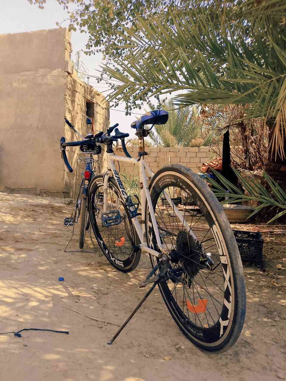 اللهم صلي على محمد وآل محمد
سلام عليكم شباب عدي ذني اثنين بايسكلات رود وبناتي بناتي حجم 27 ورود 29 الرود مواصفاته حلوه جدآ واثنينهن رايدهن اب180 وتوصيل ماعدي *********** وهاذه رقمي
