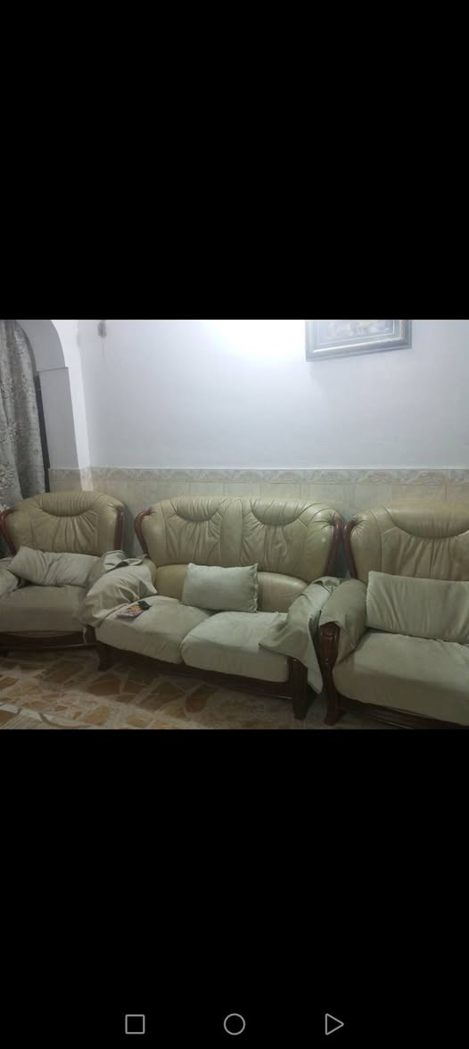 تخم جلد • جلد فاخر • صوفا