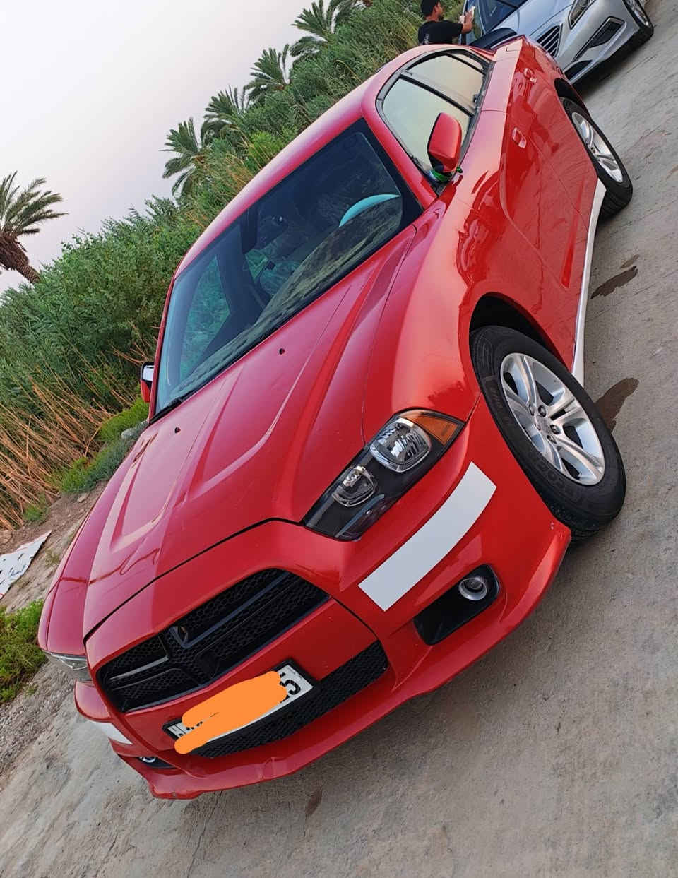جارجر 2014 دخول جديد
كارتون گصة جنطة متوئم
بغداد نگليزي سنويه عاج
وكاله بسم المشتري

مكينه 3600
گير ماوس
تخم تاير
حداده 100٪ 100
تبريد كهربائيات جاهزه من جميع نواحي

55 وبيها مجال
ناصريه
***********
