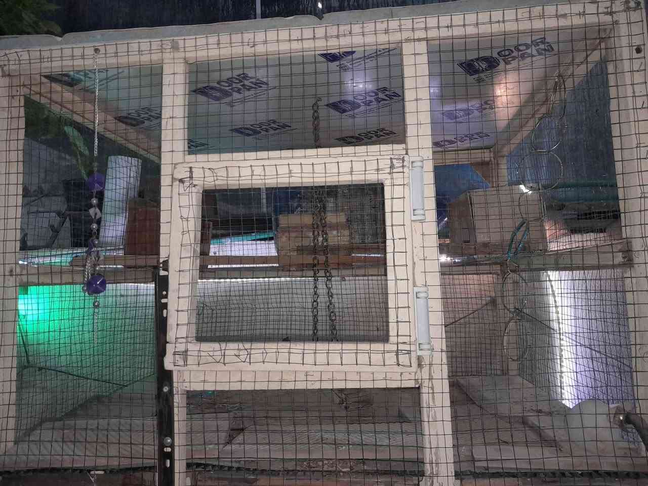السلام عليكم 
قفص طيور للبيع 
بي 3 خانات و بيوت بكل الخانات
السعر 35،000 الف وبي مجال 
الارتفاع مترين والعرض ٦٥ والنزال ٨٠
للتواصل  ***********
