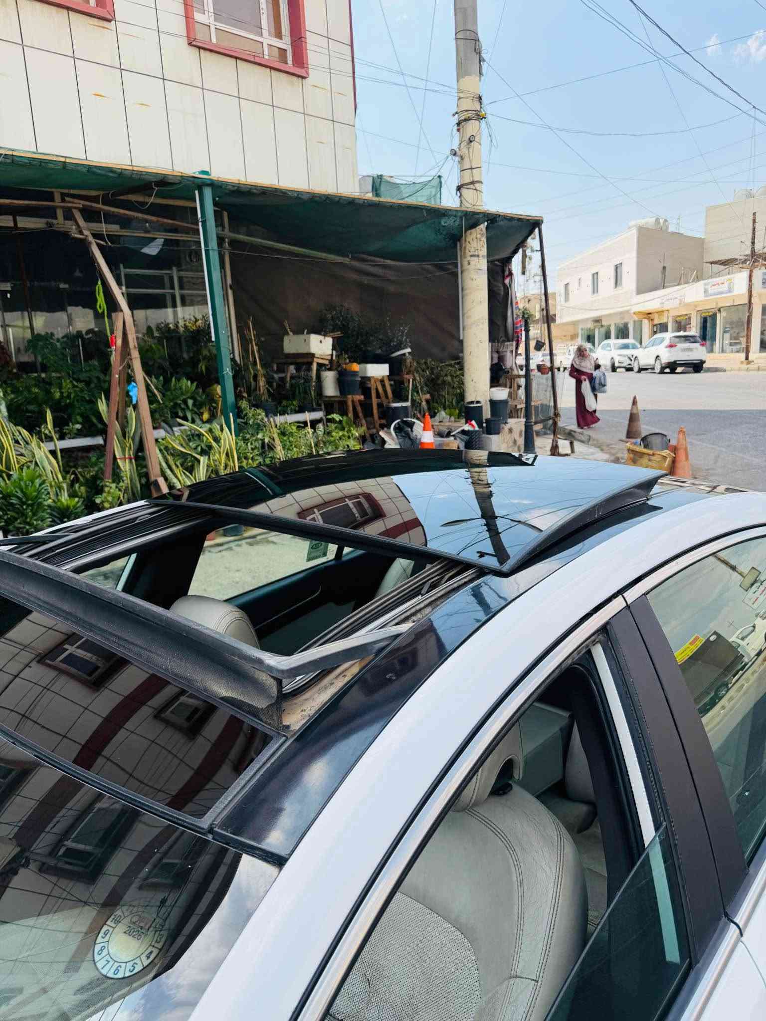فول • بانوراما • ٢٠١٠
