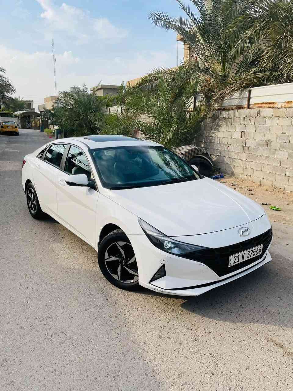 ألنترا ٢٠٢٣ • خليجي • بدون صبغ
