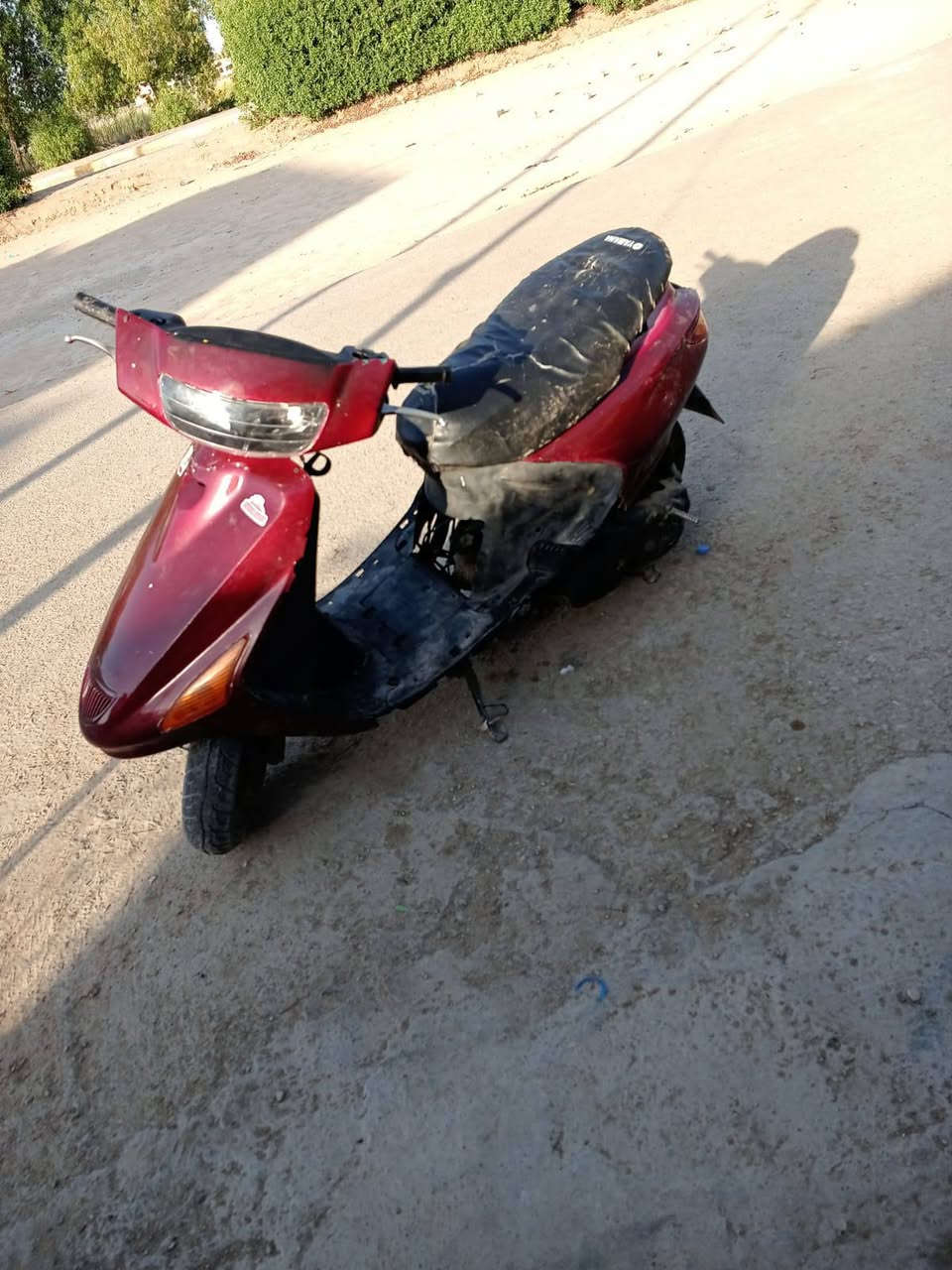 سلام عليكم فراشة لبيع مكانه ناحية نفرسعره 130حجز ماكو توصيل ماكو 

***********
