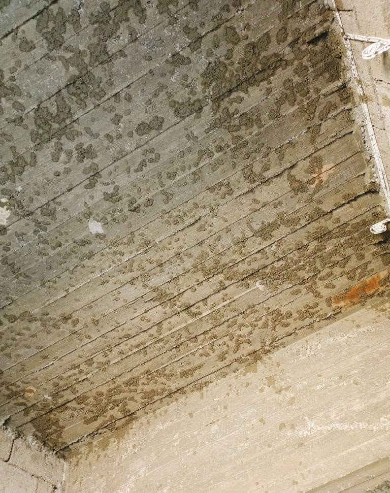 متوفر تشربت السقفيات قبل لبخ الجص 
ايضا لبخ الأسمنت شعندك احنا موجودين 
للأستفسار 
الاتصال على الرقم او المراسلة خاص
***********
