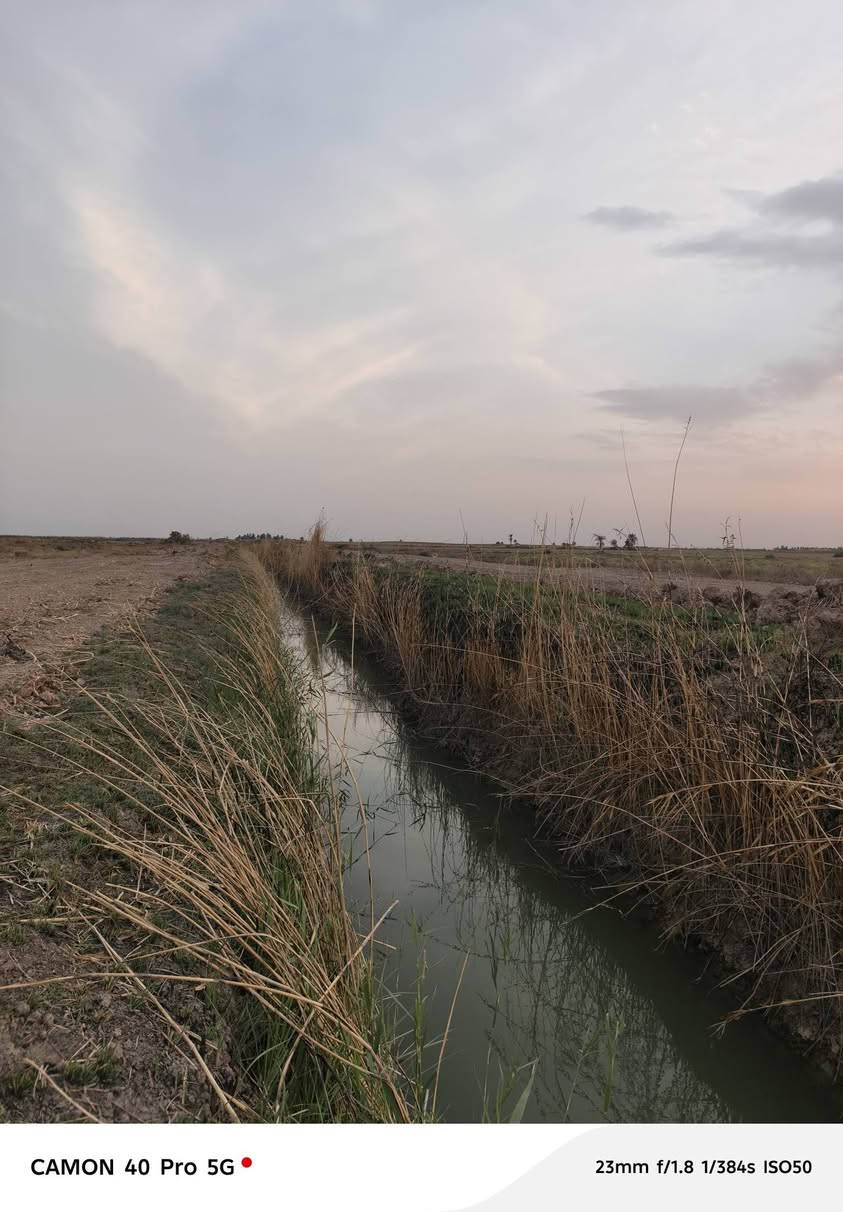 ٣١ دونم • على النهر • طابو زراعي