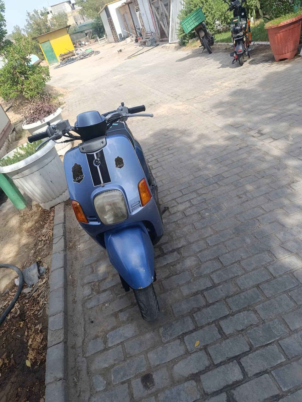 بصره بوليسي سعر 600(***********
