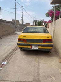 بيجو روئ • ٢٠٠٩ • ١٧ ورقه