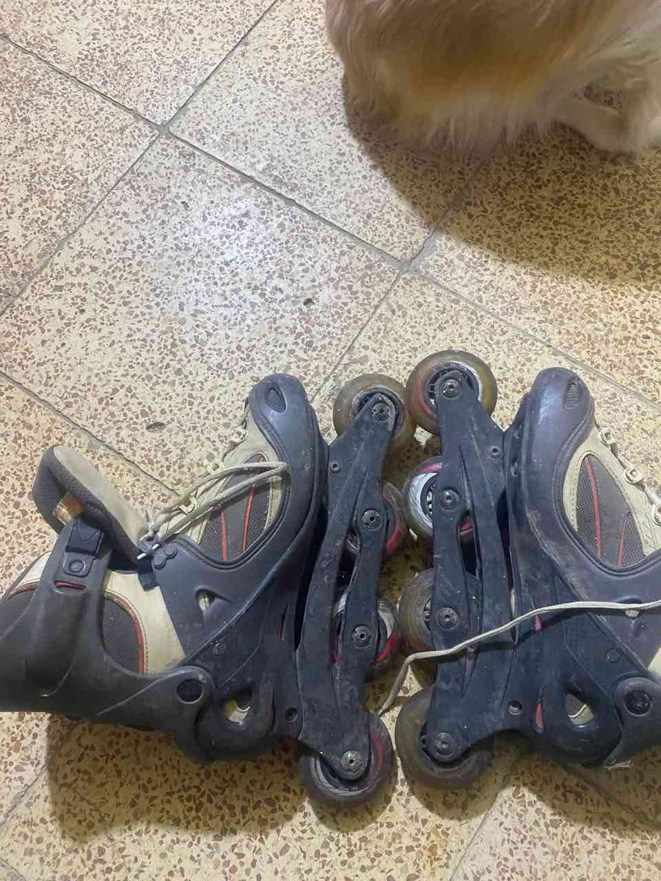 ￼سلام عليكم اسكيت أصالي نوعيت Salomon سعره50وبيه مجال يلبس40/41رقمي ‭***********‬
