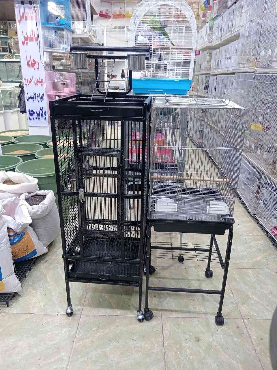 حيوانات أليفة • طيور زينة • كوت ١٤ تموز