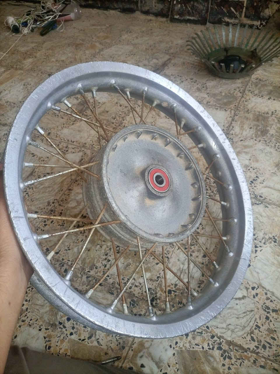 مرخص • بوربر • ٨١