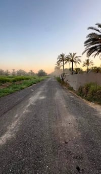 التويثه • دونم/نص • طابو تحويل مباشر