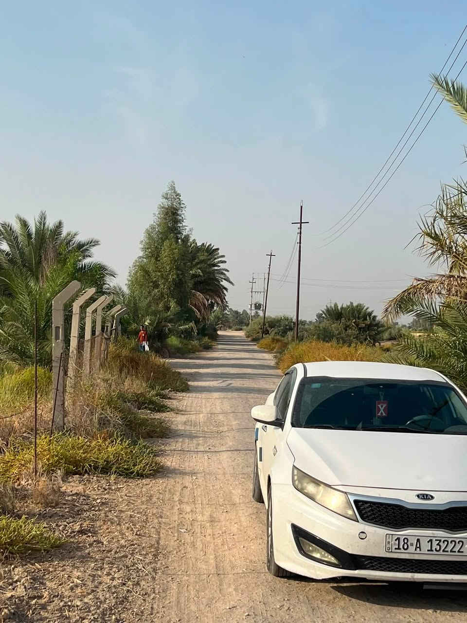 دونمان • سند 25 • بابل المحاويل