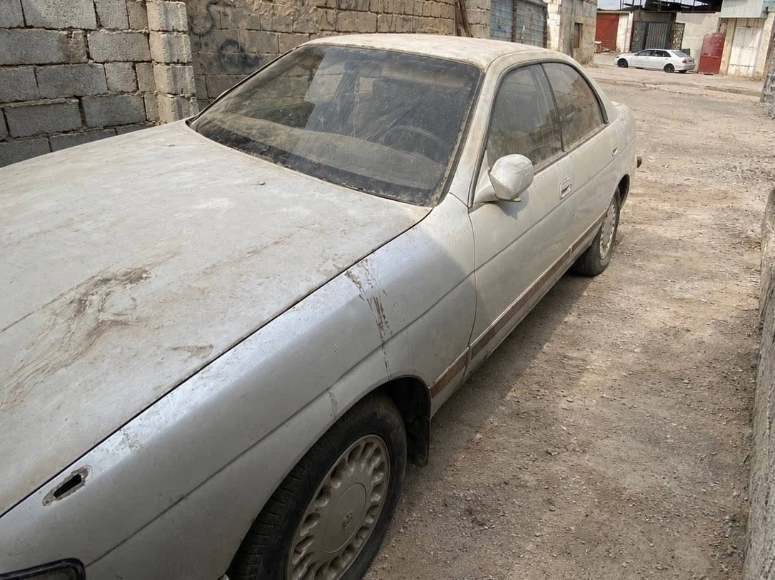 بطه • ٢٠٠٠ • شغاله
