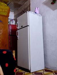 كريازي • تجمد • شاشة رقمية