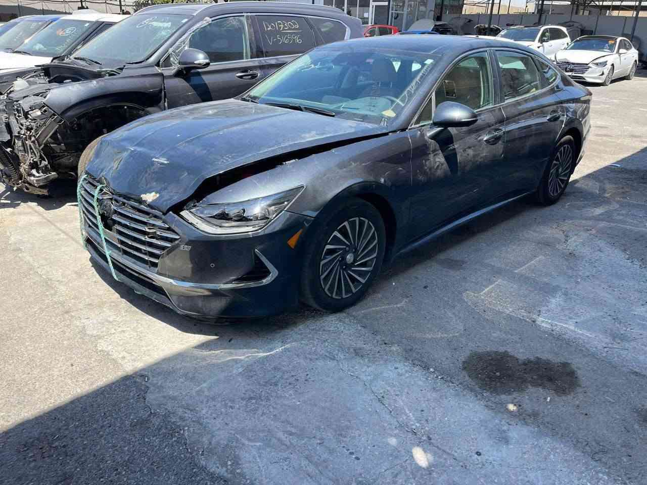 سوناتا هايبرد • ٢٠٢٢ • رقم بغداد